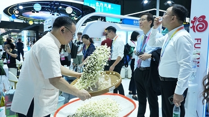 閩榕茶業(yè)亮相第四屆中國(guó)-非洲經(jīng)貿(mào)博覽會(huì)，推動(dòng)茶業(yè)經(jīng)貿(mào)合作新篇章