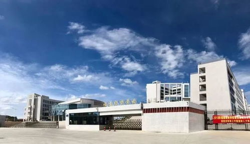 臺商區(qū)中考成績不理想怎么辦？經貿咨詢助你規(guī)劃新出路