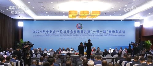 中非攜手，構建多元化經貿合作新格局，為共同繁榮注入強勁動力