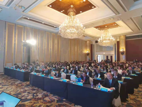 青島國際航運貿易金融創(chuàng)新中心核心區(qū)暨RCEP青島經貿合作先行創(chuàng)新試驗基地上海推介會圓滿舉行